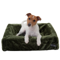 Hundebett mit Jack Russel